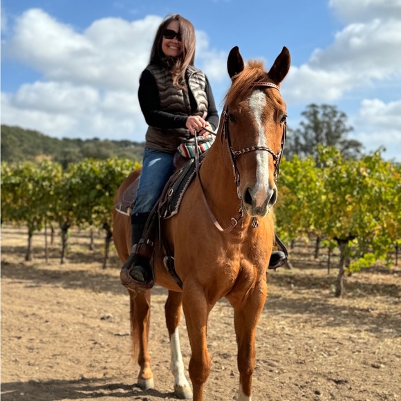 Meet your Posher, Dina - Picture 11 of 11